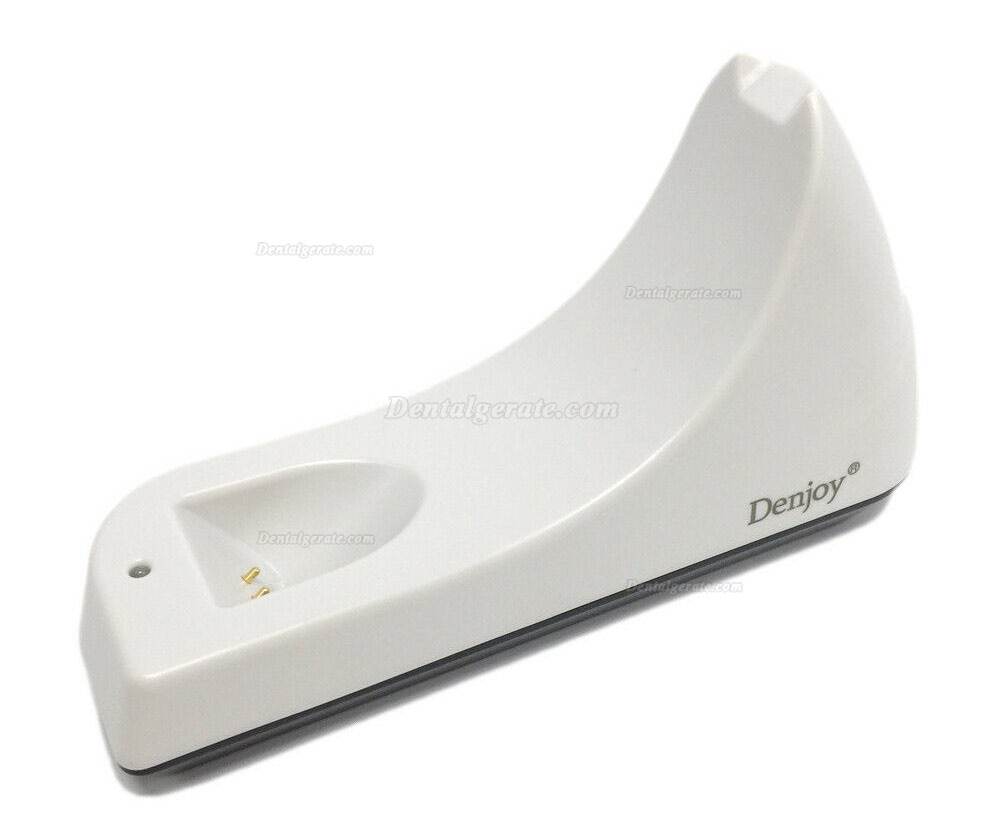 Denjoy&reg; Endo 3-dimensionale Obturation System Gutta Pen & Gun